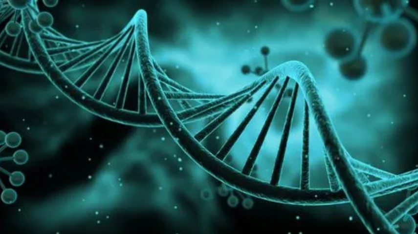 生物技術(shù)翻譯需要關(guān)注哪些要點(diǎn)？